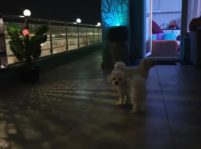 .apartament Sunshine Summerland